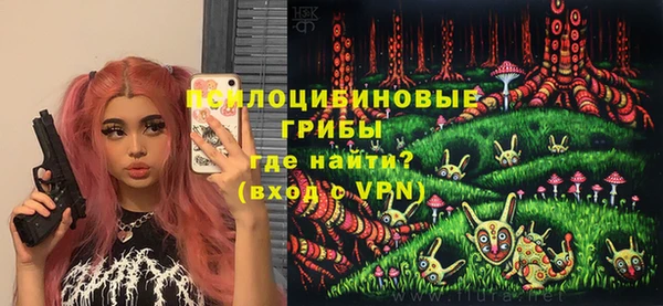 Альфа ПВП Лабытнанги