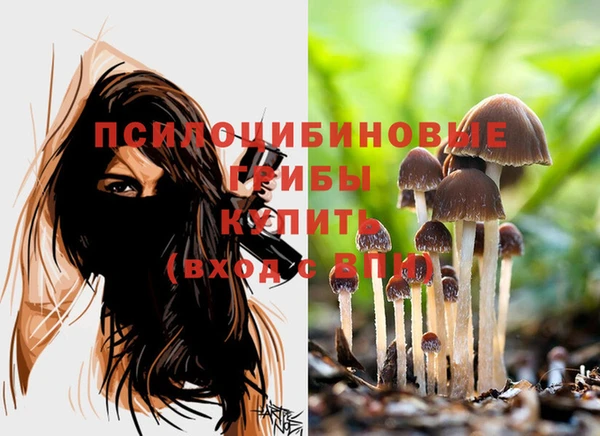 синтетический гашиш Ладушкин