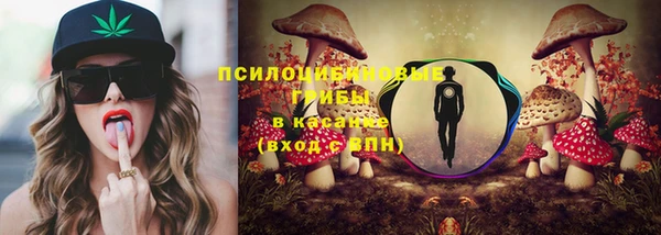 мет Лагань