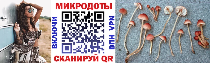 Галлюциногенные грибы GOLDEN TEACHER blacksprut ссылки Тарко-Сале магазин наркотиков